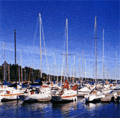 burlingtonon.gif (15807 bytes)