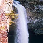 Community Photo